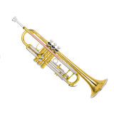 High Grade Trumpet (TR-460)