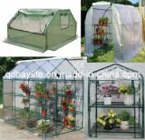 Flower Plant Vegetable Popular Greenhouse