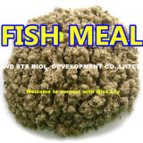Anchovy Fish Meal for Animal Feed