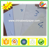 60GSM Cream Shade Uncoated Offset Paper