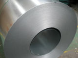 SPCC DC01 St12 Annealed Cold Rolled Steel Coil with Mill Price