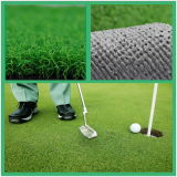 Golf Sport Synthetic Turf (MHQD-C15C30PM)