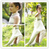 Vogue of New Fund of 2015 Beautiful Lace Evening Dress Girl Children's Clothes