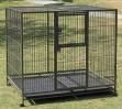 Stable Tube Pet Cage for Pet Product (D1020)
