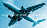 Air Freight Service for Cargo Seattle, Us From Shenzhen and Guangzhou, China (A330)
