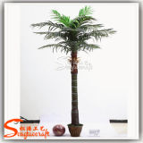 Competitive Fiber Glass Artificial Palm Tree