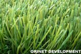 Residential Artificial Grass/Playground Turf (OG-11)