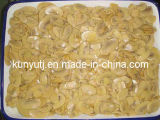 Canned Mushroom Slices with High Quality