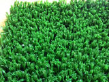 Artificial Grass for Sports (A315324WS8801)