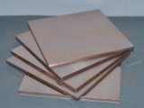 W50 Tungsten Copper Plate, Copper Tungsten Plate, 30X100X100mm, 20W3 Tungsten Copper Alloy Electrode (elkonite)