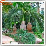 Customized Artificial Tree Bottle Palm for Garden Decoration