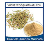 Chlorogenic Acid From Honeysuckle Flower & Eucommia Root