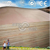 Commercial Plywood for Furniture (1220X2440mm)