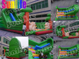 Water Slide, Water Slides, Inflatable Slide, Combo Slide