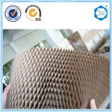 Suzhou Factory Structual Honeycomb Material