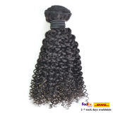Wholesale Natural Raw Super Curly Indian Hair
