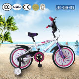 New Model Kids Bicycle Children Girl Bikes (JSK-GKB-051)