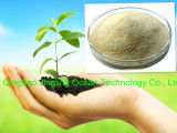 High Potassium with Seaweed Extract Fertilizer