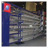 Big Capacity H Type Chicken Layer Cage with Poultry Heaters Equipment