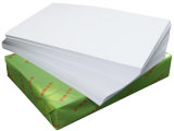 Hot Sale A4 Paper 70g 80g Whosale Copy Paper
