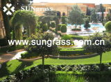 Synthetic Grass for Garden or Landscape Recreation (SUNQ-SD)