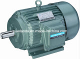 Squirrel Cage Three Phase Electric Motor/Asynchronous Motor
