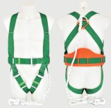 Protection Working Harness with Rope Lanyard