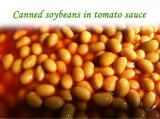Canned Soybeans in Tomato Sauce/Canned Food/Tinned Food