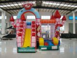 Inflatable Bouncer & Slide (AQ194)