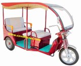 Electric Auto Rickshaw/Electric Tricycle D98