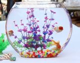 Hand Blown Fish Bowl Glass Half Sphere
