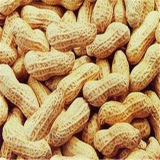 Good Quality Peanuts in Shell