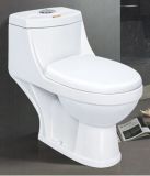 One Piece Toilet With Dual Flush Fitting