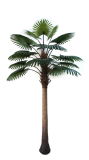 Artificial Plants and Flowers of Big Fan Palm 2.3m Gu-Bj-334e-18