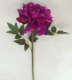 Silk Single Stem Peony Flowers for Decoration