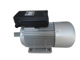 Yl Two Capacitor Electric Motor