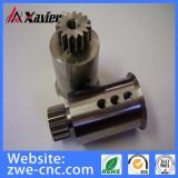 CNC Machined Spur Gear for Excavators or Car
