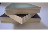 Concrete Formwork Film Faced Plywood (ZL-CP)