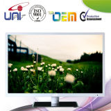 Hot Sales 42 Inch Electronics LED TV with Best Price