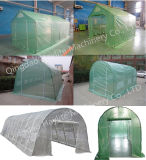 Greenhouse for Vegetable Flower Plant PVC PE Outdoor on Sale