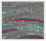 Sequin Embroidery on Mesh -Flk158