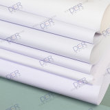 Dye Sublimation Print Fabric Textile (DX4300)