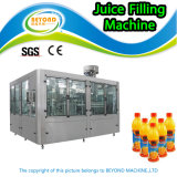 Juice Filling Machine Liquid Filling Machine Rxgf16-16-5