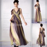 Printed Chiffon Evening Dress (ZSZ017)