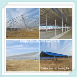 Professional Designed Prefabricated Poultry Farm Shed