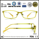 Popular Eyewear Optical Frame