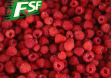 IQF Raspberries Wholes