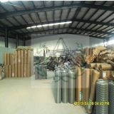 Electro Welded Wire Mesh (Best Selling!)