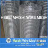 Electro Galvanized Welded Wire Mesh