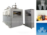 Plastic Glass Thermoforming Machinery with High Quality